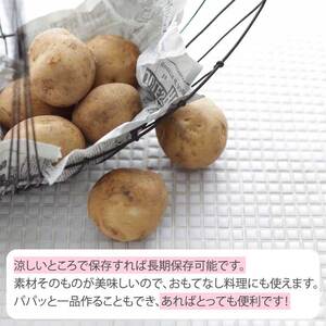じゃがいも2種食べ比べセット5kg　(アンデスレッド・デジマ　各2.5kg) 野菜 やさい ジャガイモ いも 根菜 ポテト お芋 ジャガ芋 農家直送 産地直送 国産 157004