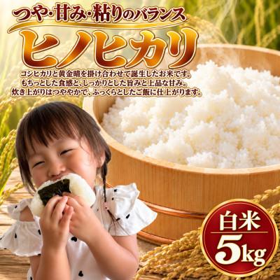 ふるさと納税 柳川市 【令和8年産】ヒノヒカリ 白米 5kg