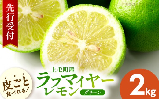【先行受付】 上毛町産ラフマイヤーレモン 2kg （グリーンレモン） OF0208
