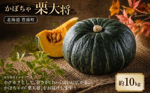 【先行予約】北海道 豊浦町 かぼちゃ 栗大将 約10kg 5-7玉　【2026年9月上旬発送開始】 カボチャ 南瓜 野菜 煮物 天ぷら