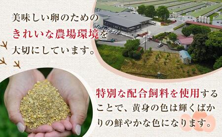 【定期便6回】ヒラノのたまご【輝黄卵(きおうらん)】赤Mサイズ10kg(160個前後)