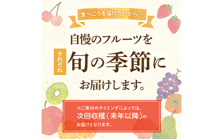 【先行予約】《2026年11月下旬～12月中旬頃お届け》 こつぶでちゅるん さぬきキウイっこ 約1.8kg 糖度 17～20度 一口サイズ 香川 四国 フルーツ 果物 くだもの キウイ キュウイ 果実