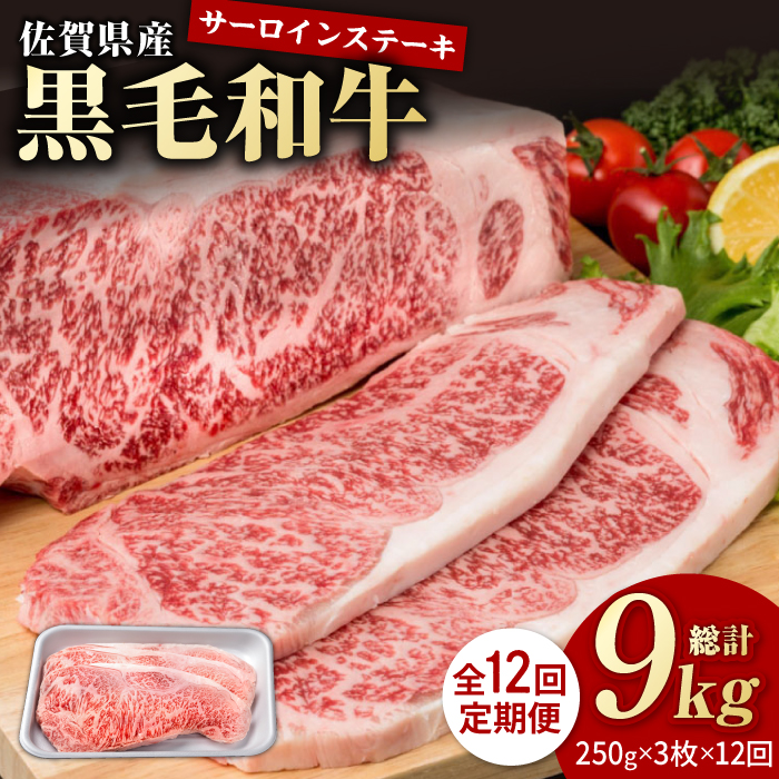 【12回定期便】佐賀県産 黒毛和牛 贅沢 サーロインステーキ 250g×3枚（計750g）【株式会社いろは精肉店】/黒毛和牛 和牛 牛肉 肉 お肉 贅沢 高級 ステーキ サーロイン[IAG092]