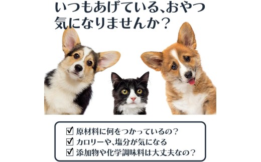 猫 犬 ペット まぐろ おやつ 食べ比べ 3種 1セット フレーク そぼろ 各440g まぐろっ粉 200g｜ペット 犬 猫 ペット用品 ペットフード おやつ レトルト 国産 まぐろ マグロ ふりかけ