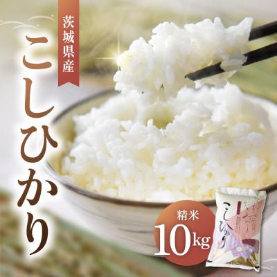 ふるさと納税 かすみがうら市 令和7年産かすみがうら市産コシヒカリ  精米  10kg