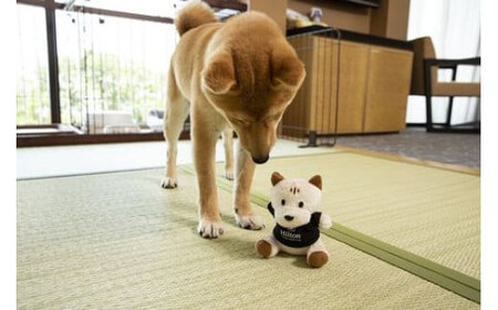 ワンちゃんと一緒にステイヒルトンドッグフレンドリールーム素泊まり（平日）