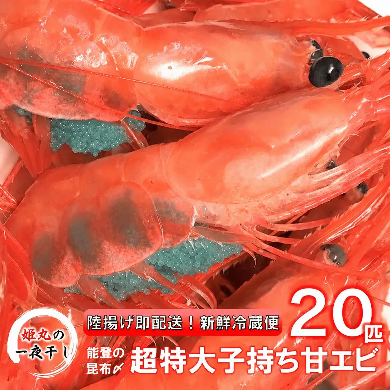 【 2026年9月~10月発送 】 子持ち甘エビ20匹丸ごと昆布〆 甘エビ