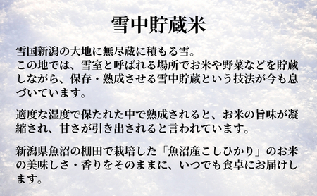  魚沼産コシヒカリ 雪中貯蔵米 パックご飯36個 /たかの/ パックご飯 パックご飯 パックご飯 パックご飯 パックご飯 
