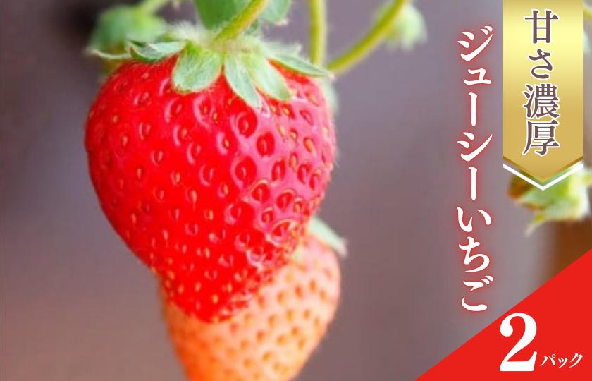 
                  甘さ濃厚 ジューシーいちご ２パック 苺　甘い　家庭用　よつぼし　おいCベリー　紅ほっぺ　やよいひめ　イチゴ　 エコチョク
                