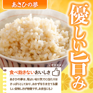 2026年4月より発送 【令和7年度産】 群馬県千代田町産 あさひの夢 10kg(5kg×2袋) (玄米)