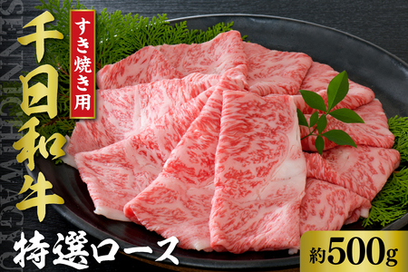 千日和牛特選ロースすき焼き用 約500g（山形牛）　（牛肉 和牛 千日和牛 国産 山形県産 しゃぶしゃぶ お取り寄せ グルメ 冷凍 送料無料）