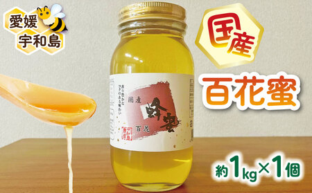 ＼10営業日以内発送／  国産はちみつ 百花蜜 1kg 宇和島農産 純国産はちみつ 瓶 蜜 人気ハチミツ 国産純粋はちみつ 非加熱 はちみつ 蜂蜜 ハニー 百花蜂蜜 百花はちみつ 純粋はちみつ 生はちみつ 天然はちみつ 産地直送 国産 愛媛 宇和島 F020-132010