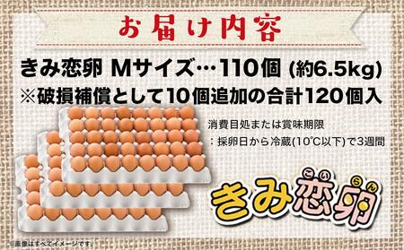 新鮮赤卵「きみ恋卵」110個_MJ-2904_(都城市) 河中農園 味が濃くてまろやかなたまご 玉子 破損補償 レシチン お菓子作り