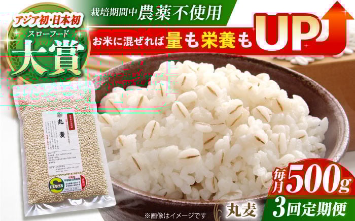 
【全3回定期便】栽培期間中農薬不使用 丸麦 500g ( 1等麦使用 ) 【葦農】[HAJ040]
