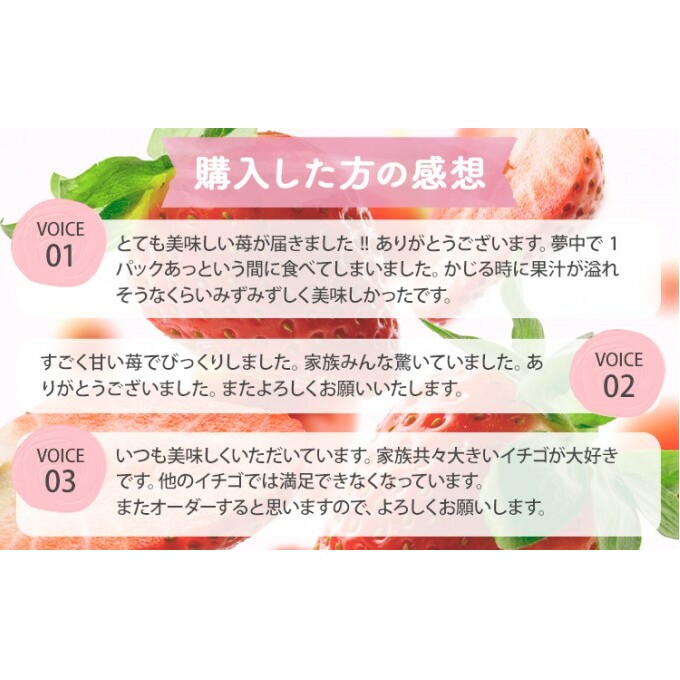 いちご 2025年12月より発送 うるう農園のあまおう スタンダード2パック 約570g 果物 フルーツ デザート 食後 特別栽培 福岡県産 国産 日本産 ※配送不可：離島_イメージ5