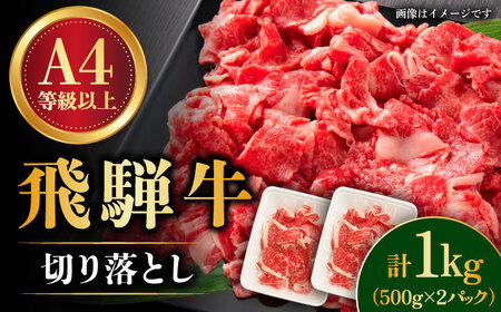 【飛騨牛】切り落とし 1kg  多治見市/肉の丸長 和牛 ブランド牛 国産 飛騨牛 お肉 肉 小分け 薄切り 肉じゃが 牛丼 カレー ビーフシチュー 切り落とし スライス すき焼き しゃぶしゃぶ うす切り  多治見 岐阜県 ギフト プレゼント 贈答 贈り物 送料無料   [TAZ005]