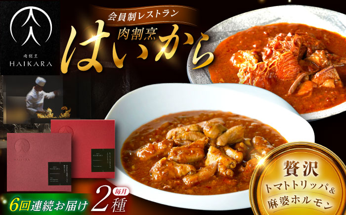 【6回定期便】【ギフト箱無しでその分お得】肉割烹はいから『牛ハチノスとギアラのトマトトリッパ』『黒毛和牛の麻婆ソースと豚ホルモン』/ レトルト セット / 恵那市 / TWO-FACE JAPAN [AUFI051]