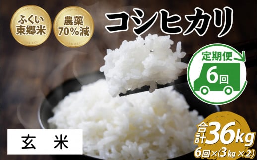 【先行予約】【定期便6ヶ月連続】令和7年産 ふくい東郷米 特別栽培米 農薬70％減 コシヒカリ 6kg(3kg×2袋)×6ヶ月 合計36kg【玄米】[H-020013_02]