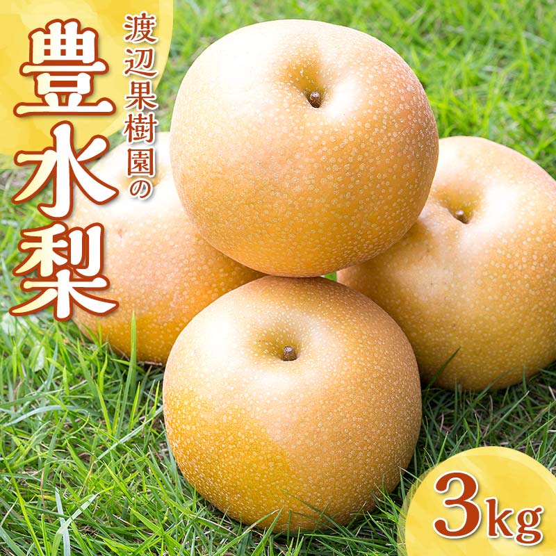 【ふるさと納税】渡辺果樹園の豊水梨 約3kg＜9月上旬〜9月下旬にお届け＞ F7X-0163