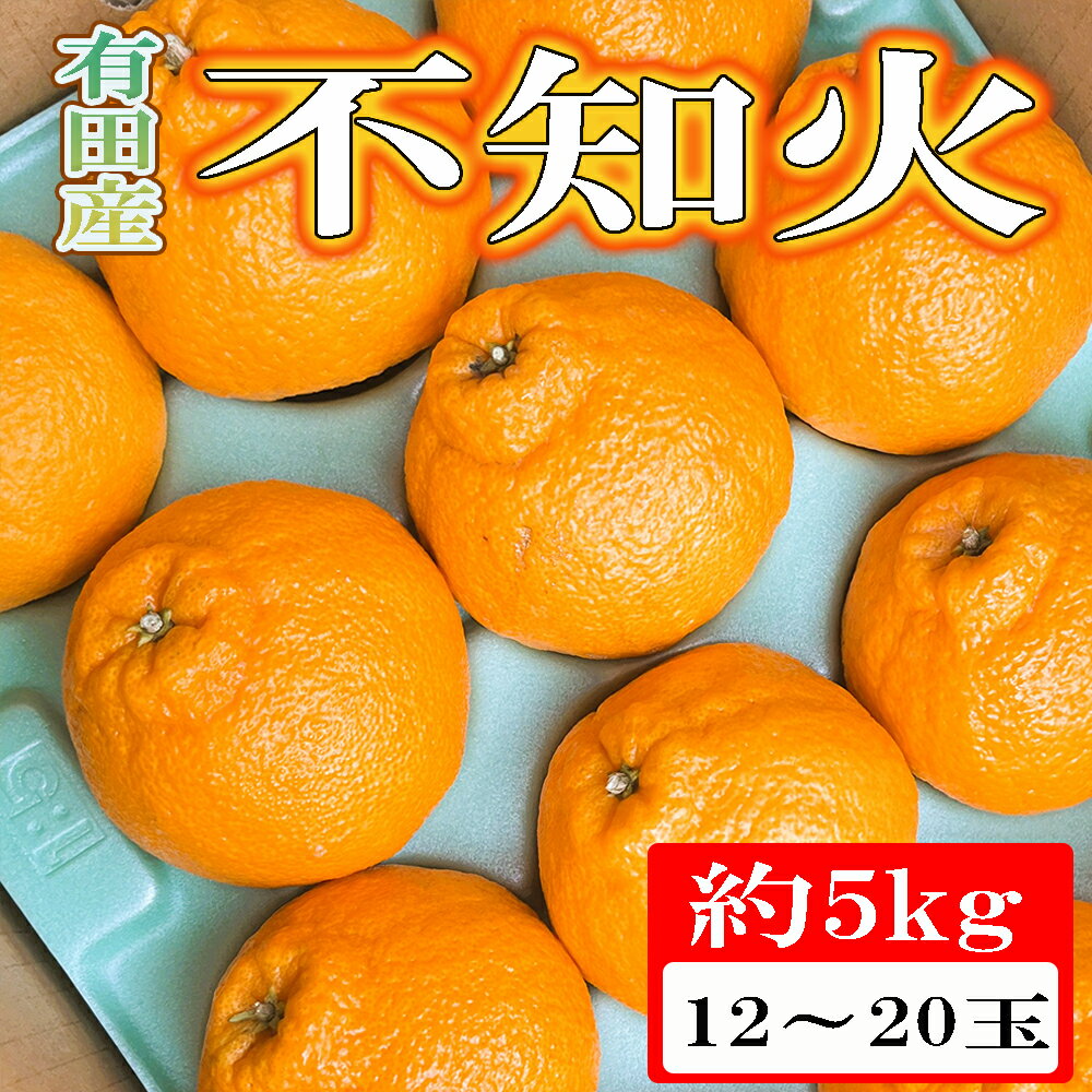 【ふるさと納税】 【濃厚】有田の不知火約5kg（12玉〜20玉おまかせ） ※2027年2月中旬〜2027年4月中旬頃に順次発送予定（日付指定不可）