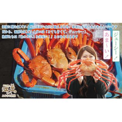 ふるさと納税 江差町 『北海道北前蟹』北海道日本海産 紅ずわいがにかに爪 500g |  | 03