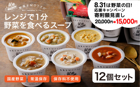 レンジで1分 野菜をMOTTOスープ 12個 セット 具だくさんスープ