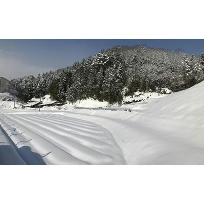 ふるさと納税 雲南市 島根県雲南市産　吉田げんき米　コシヒカリ　20kg(5kg×4) |  | 02