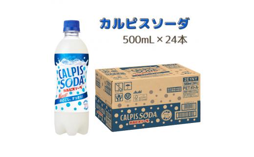
カルピスソーダ（500mL×24本）013-005
