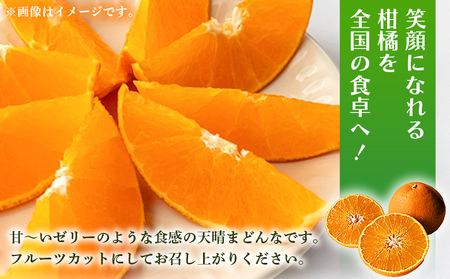【先行予約】紅まどんなと同品種！＜天晴まどんな（愛媛果試28号）ご家庭用 約3kg＞ マドンナ 訳あり 果物 くだもの フルーツ みかん ミカン 柑橘 株式会社笑丸 あっぱれのうえん 特産品 愛媛県 