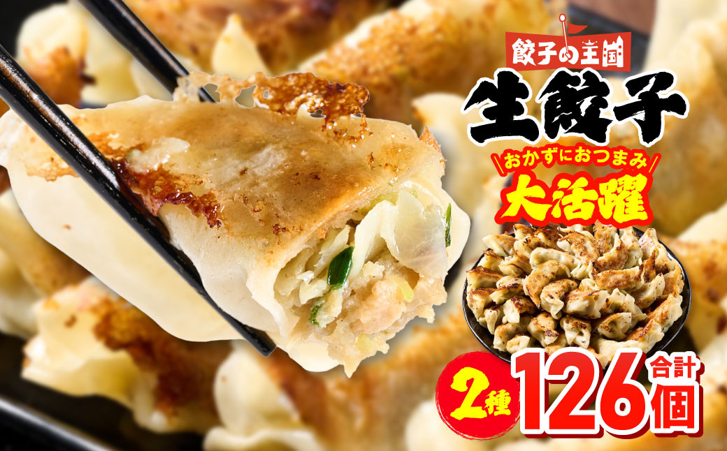 
            餃子の王国 人気生餃子 126個 （八代市産生姜使用 餃子 生餃子 ぎょうざ ギョウザ）
          