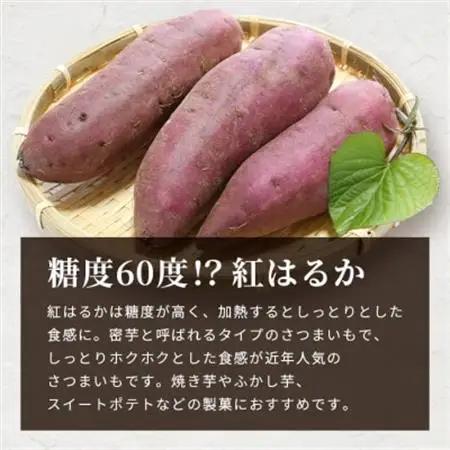 紅はるか〈小分け8袋入り〉野菜 サツマイモ さつまいも A3-19_野菜 さつまいも いも サツマイモ 薩摩芋_【配送不可地域：離島】【1167019】