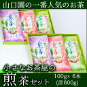 【ふるさと納税】小さいお茶屋の煎茶セット(煎茶100g×6本・合計600g) 国産 鹿児島県産 緑茶 お茶 加工品 煎茶 茶葉 セット ギフト 贈答 茶【お茶の山口園】