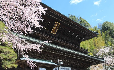 日本旅行　地域限定旅行クーポン【15,000円分】