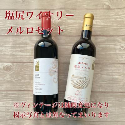 ふるさと納税 塩尻市 メルロ 2本セット( 五一わいん 井筒ワイン )