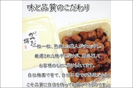 【0461-5】紀州南高梅使用 かつお梅(塩分8%) 1.5kg（和歌山県産）