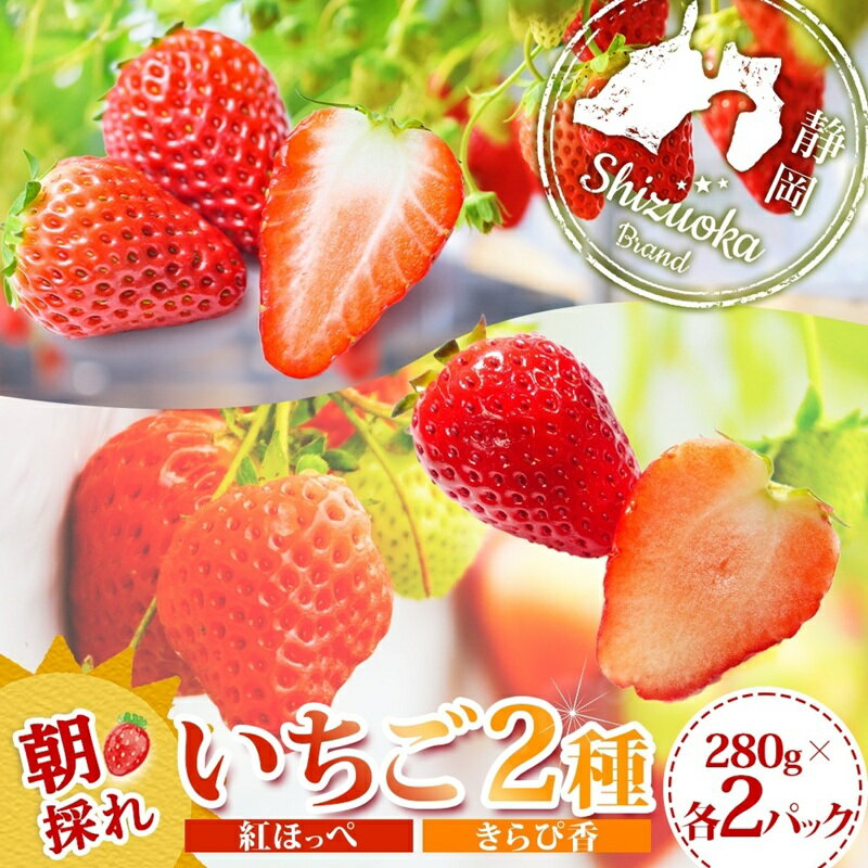 【ふるさと納税】富士宮市産 いちご 2種セット 紅ほっぺ & きらぴ香 各280g×2P 計1120g　送料無料 静岡県 富士宮市