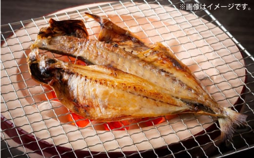 三浦半島 極上アジ干物 16枚 脂のり抜群 極上 あじ 開き干し 大人気 干物セット 干物 朝食 焼くだけ簡単  産地直送 冷凍便  【長井水産株式会社】 [AKAJ022]