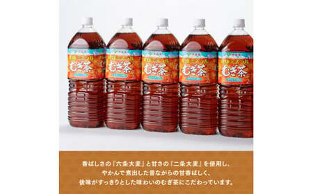 【定期便】伊藤園 健康ミネラル むぎ茶 2L×6本×2ケース PET 9ケ月定期便【お茶 麦茶 ムギ茶 飲料  水分補給 ソフトドリンク 長期保存お茶 備蓄お茶 ペットボトル カフェインゼロ カロリー