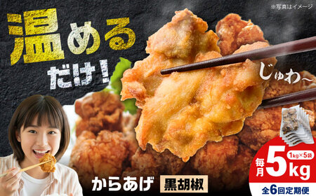 【全6回定期便】からあげ 黒胡椒味　5kg　計30kg【から太郎】[BDBC003-11]