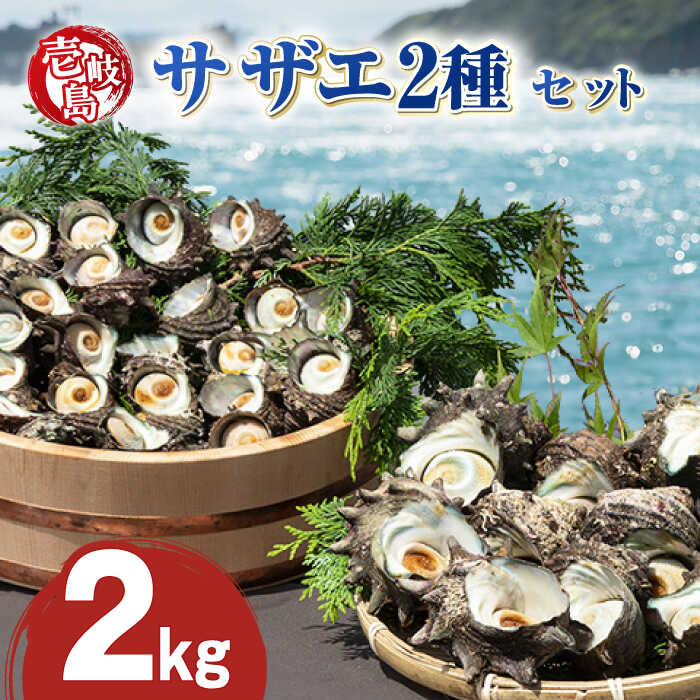 【ふるさと納税】【先行予約】壱岐島 サザエ 2種セット 合計約2kg 【配送期間：2026/6/30～10/30】《壱岐市》【マルショウ水産】[JBB002] 25000 25000円 お刺身 産地直送 冷蔵配送 サザエ さざえ 栄螺 つぼ焼き 冷蔵 生 刺身 BBQ