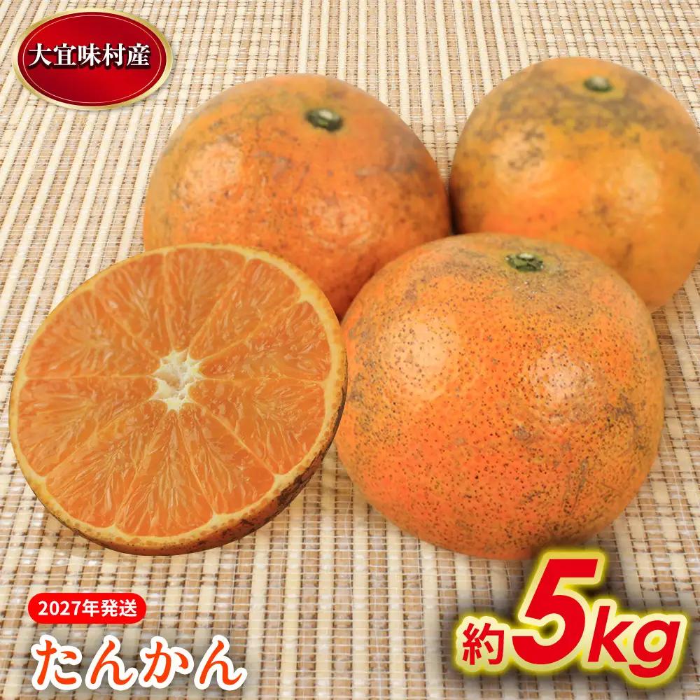 たんかん【2027年発送】大宜味村 たんかん 約5kg 沖縄