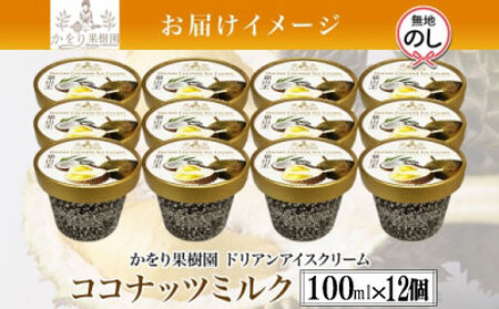 【無地熨斗】 ドリアン ココナッツ アイスクリーム 100ml 12個 セット ココナッツ ミルク