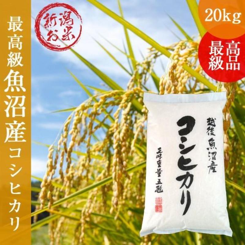 【ふるさと納税】令和7年産 新潟コシヒカリ20kg(5kg×4) こしひかり 精米