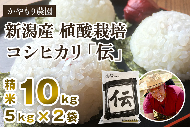 
                  【令和7年産】新潟産コシヒカリ「伝」白米真空パック 精米10kg（5kg×2）《9月下旬～順次出荷》 南麻布の高級料亭で提供される極上米 かやもり農園
                
