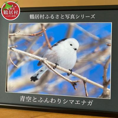 ふるさと納税 鶴居村 北海道鶴居村 写真 額付き 農場カメラマン 鶴居村ふるさと写真シリーズ【青空とふんわりシマエナガ】