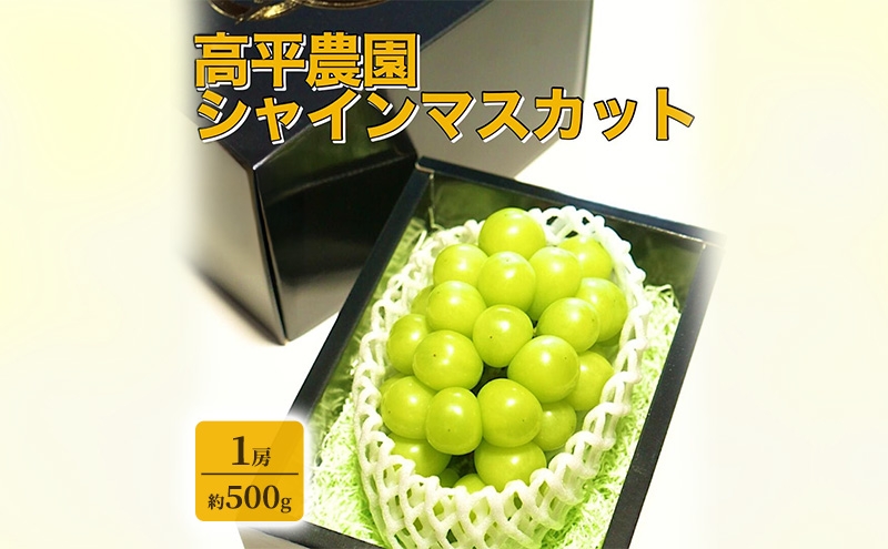 
                  【期間限定】高平農園のシャインマスカット 1房（約500g）美味しい ぶどう 美味しい フルーツ 果物 静岡 浜松市【配送不可：離島】[№5360-0957]
                