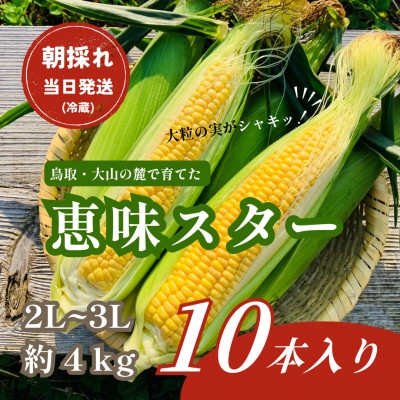 
                  ＜朝採れ当日発送＞大山スイートコーン10本|2L～3Lサイズ(約4kg)|恵味スター【1745548】
                