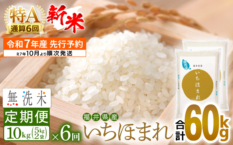 
            【新米・先行予約】令和7年産 無洗米 定期便 6回 いちほまれ 10kg × 6回（計60kg）特A通算6回！福井県産【お米 コメ kome 6ヶ月連続 計60キロ 精米 白米 便利 時短】【令和7年10月より順次発送予定】 [e27-k005]
          