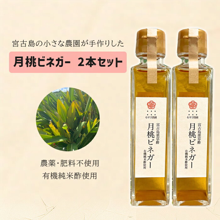 【ふるさと納税】月桃ビネガー（150ml×2本）（HJ001）