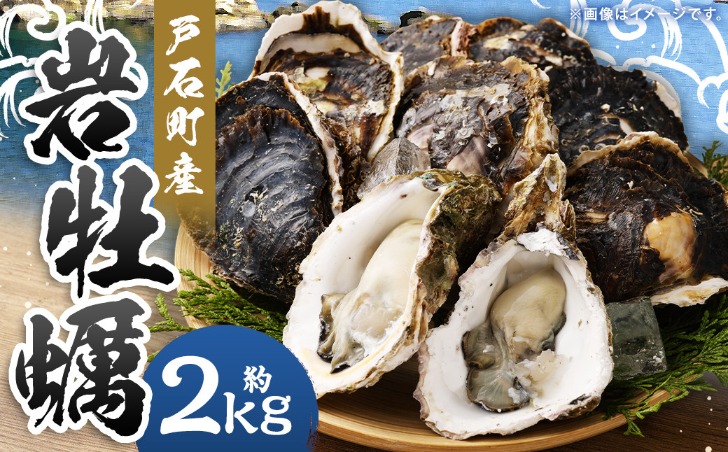 
            【指定日時必須】戸石町産 岩牡蠣 計約2kg（生食用／カキナイフ付き）【2025年5月8日～9月21日迄発送予定】 牡蠣 カキ イワガキ 生牡蠣 長崎県 長崎市
          